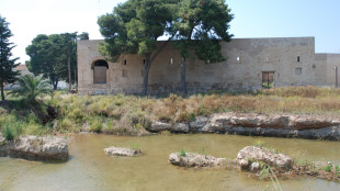 Il castello di Maredolce o della Favara