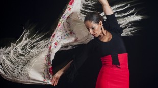 Danzatrice di flamenco