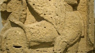 metope