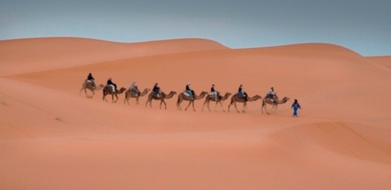 deserto anna peroni