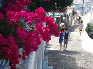 Una strada con bouganville collega Firostefani con Fira 