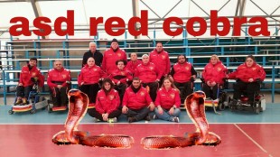 Red Cobra