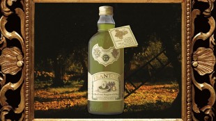 Olio su tela