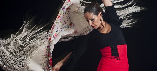 Flamenco Danzatrice di flamenco