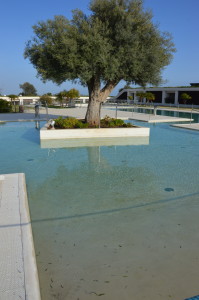 La piscina. ph Maria Mattina